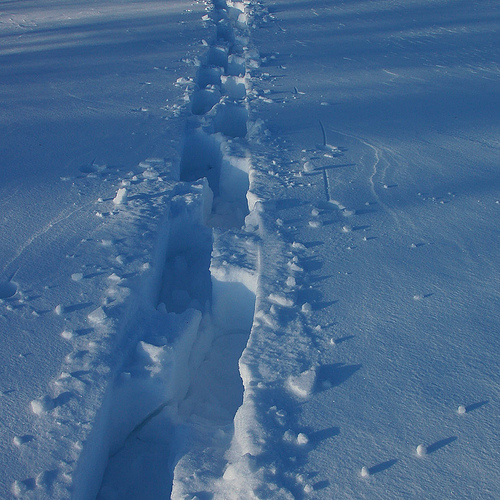 401917000_fd31b44aaa