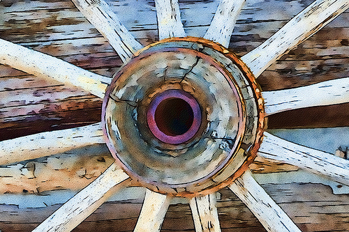 6976509375_515f6c2b77