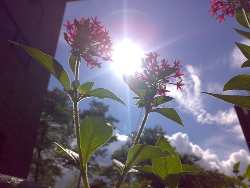 785051736_490dccbdef