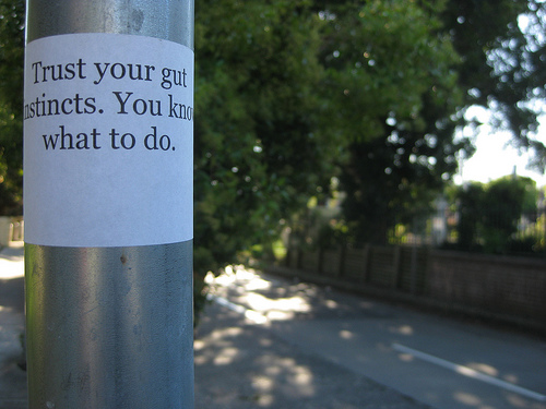 2924235306_e89912ac1f