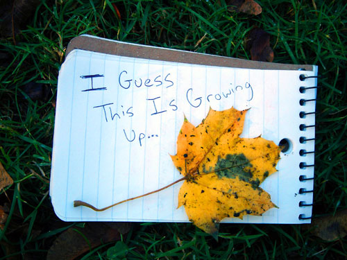 233119530_239fc8efb3